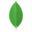 mongo db logo